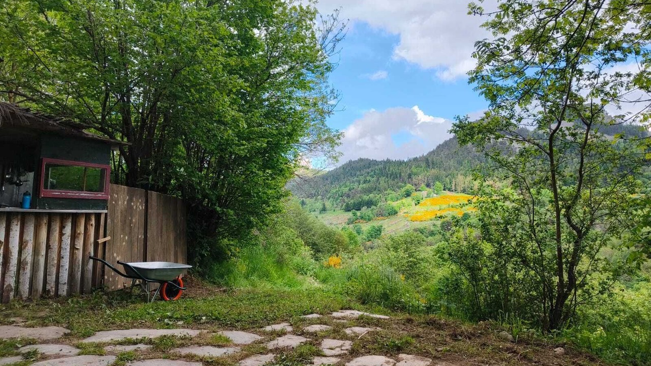 Photo of Outdoor in Boree