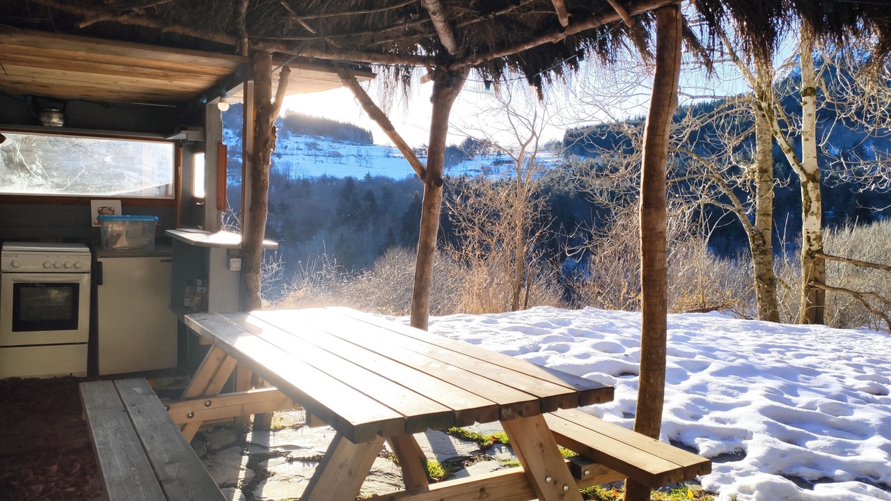 Photo of Outdoor in Boree