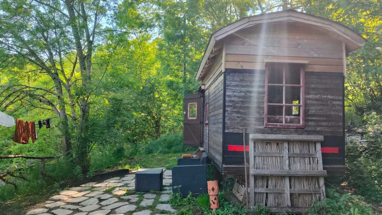 Photo of Outdoor in Boree
