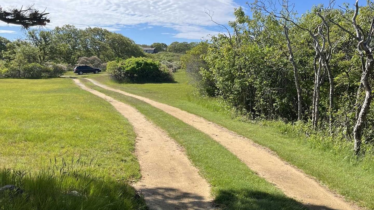Photo of Others in Aquinnah