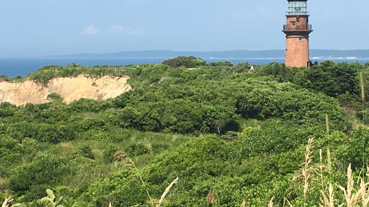 Photo of Others in Aquinnah