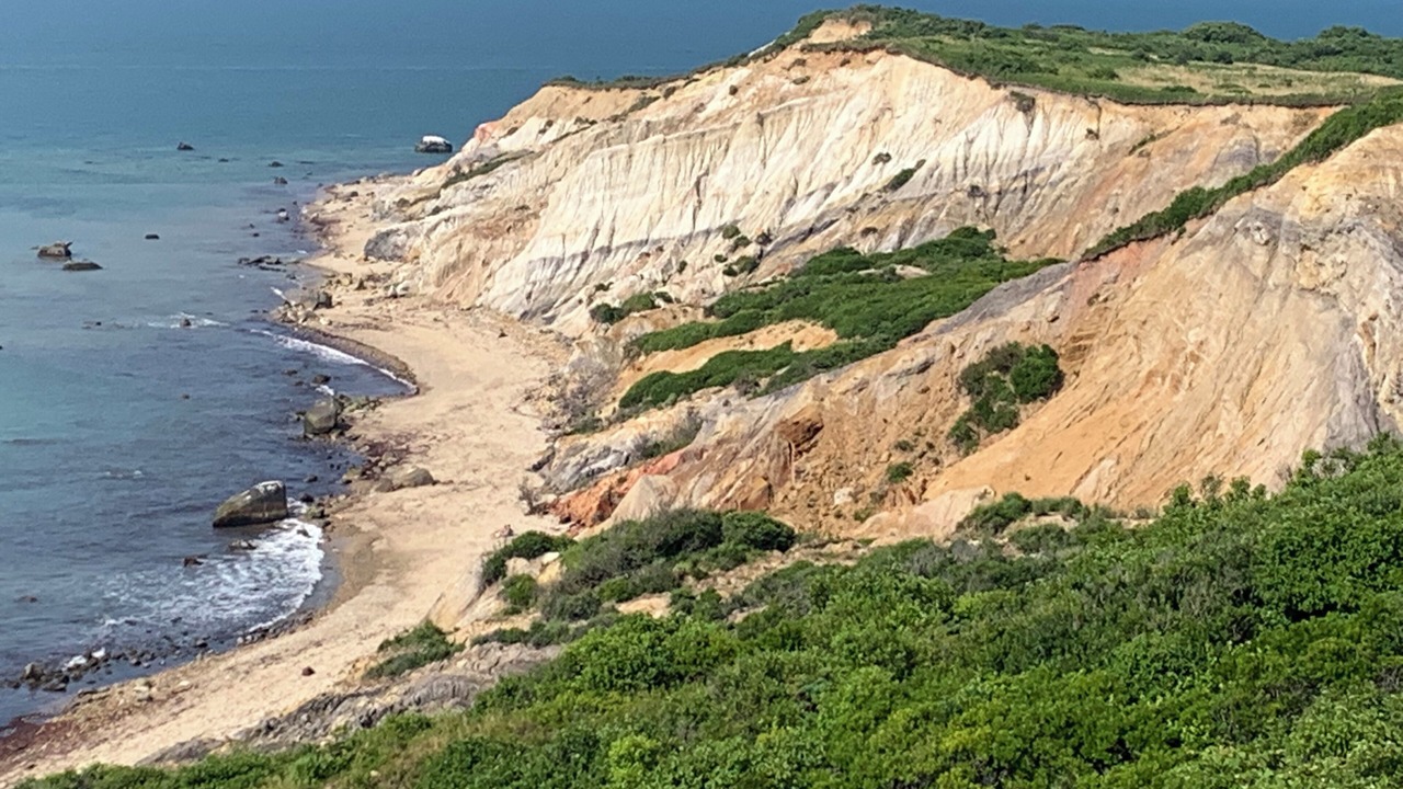 Photo of Others in Aquinnah