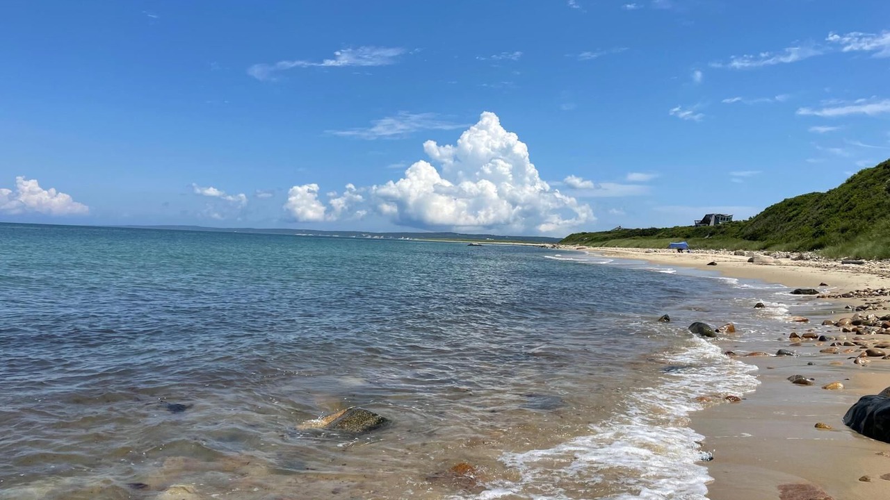 Photo of Others in Aquinnah