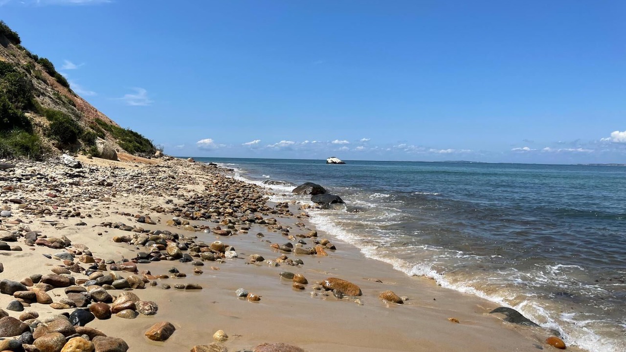 Photo of Others in Aquinnah