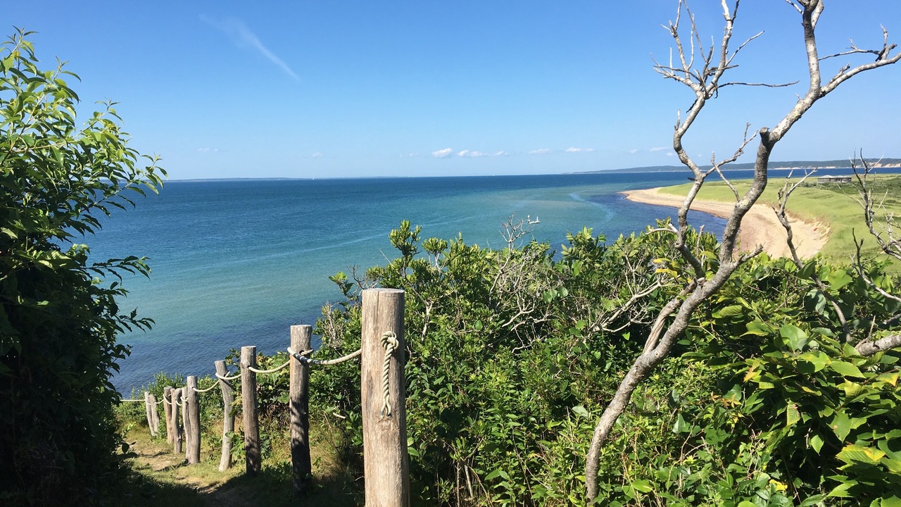 Photo of Others in Aquinnah