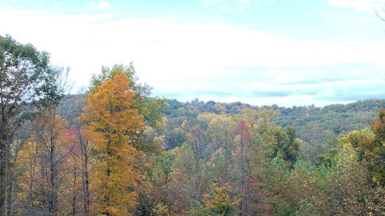 Photo of Others in French Lick