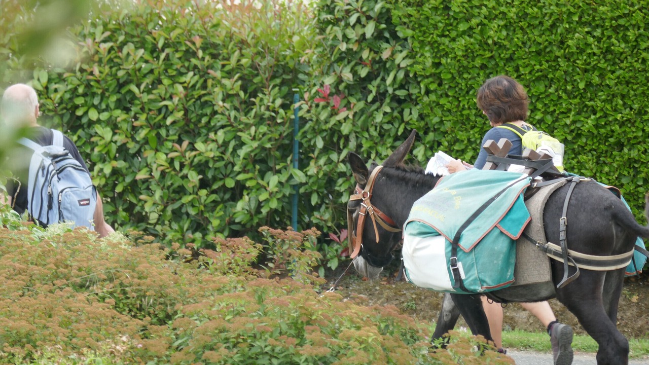 Photo of Others in Morieux