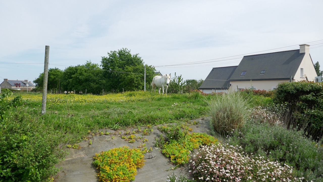 Photo of Outdoor in Morieux