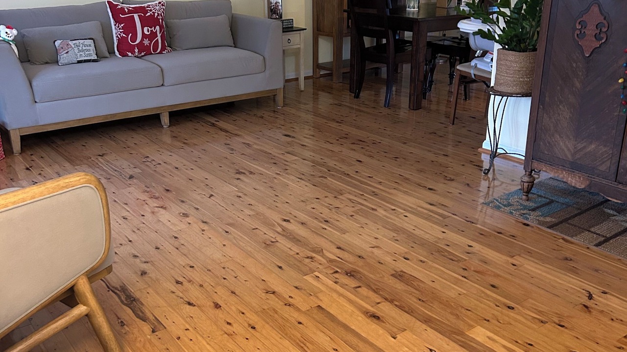 Photo of Livingroom in Annandale