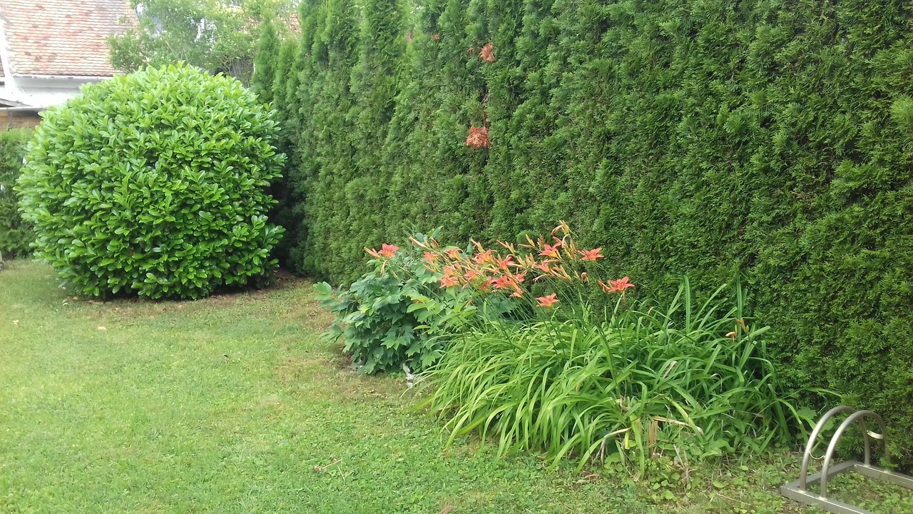 Photo of Outdoor in Bukfurdo