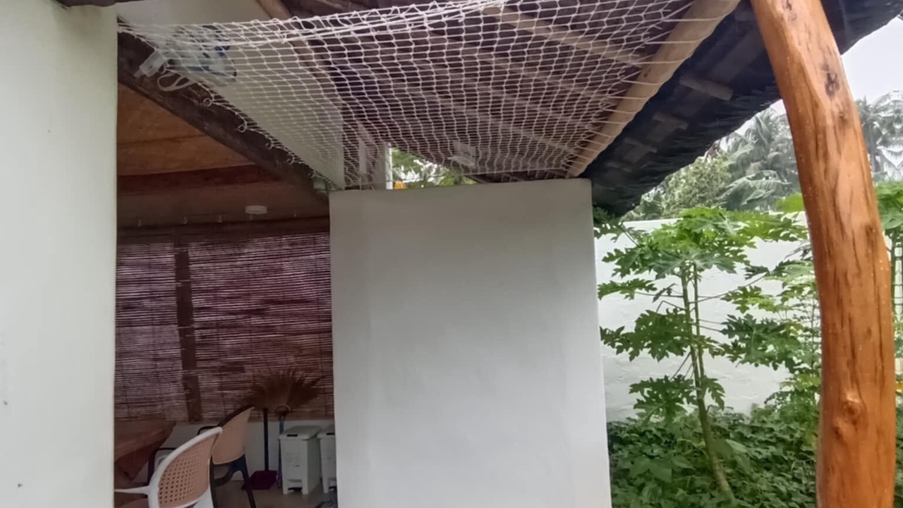 Photo of Outdoor in Catangnan