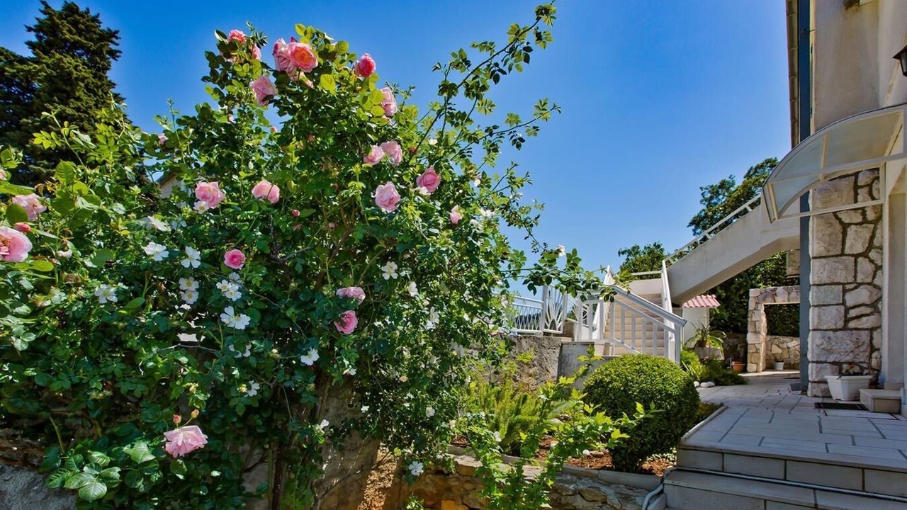 Photo of Outdoor in Hvar