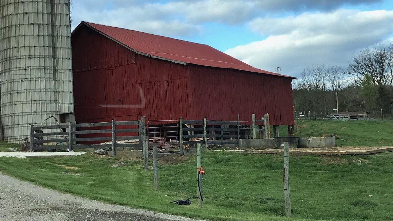Photo of Outdoor in Buchanan