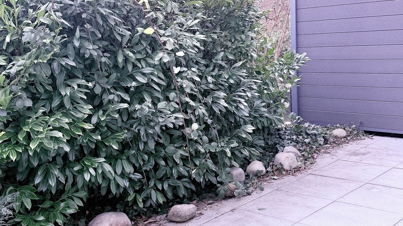 Photo of Outdoor in Olten