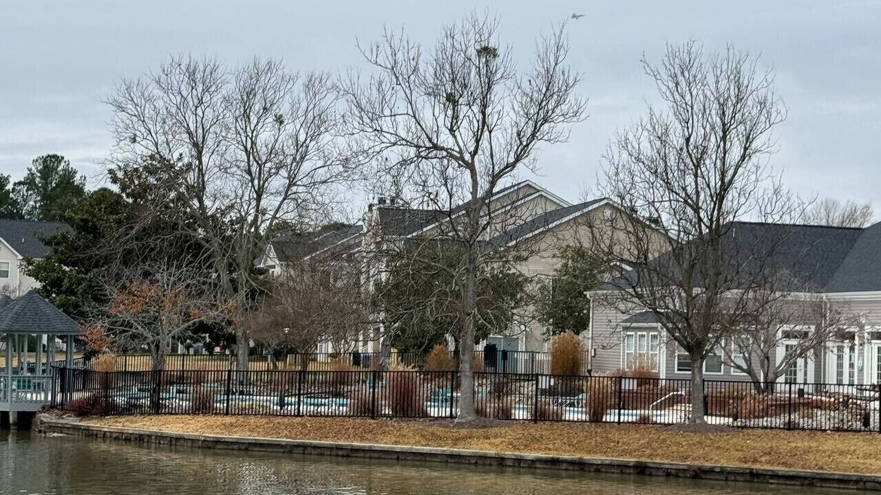 Photo of Outdoor in Northeast Virginia Beach