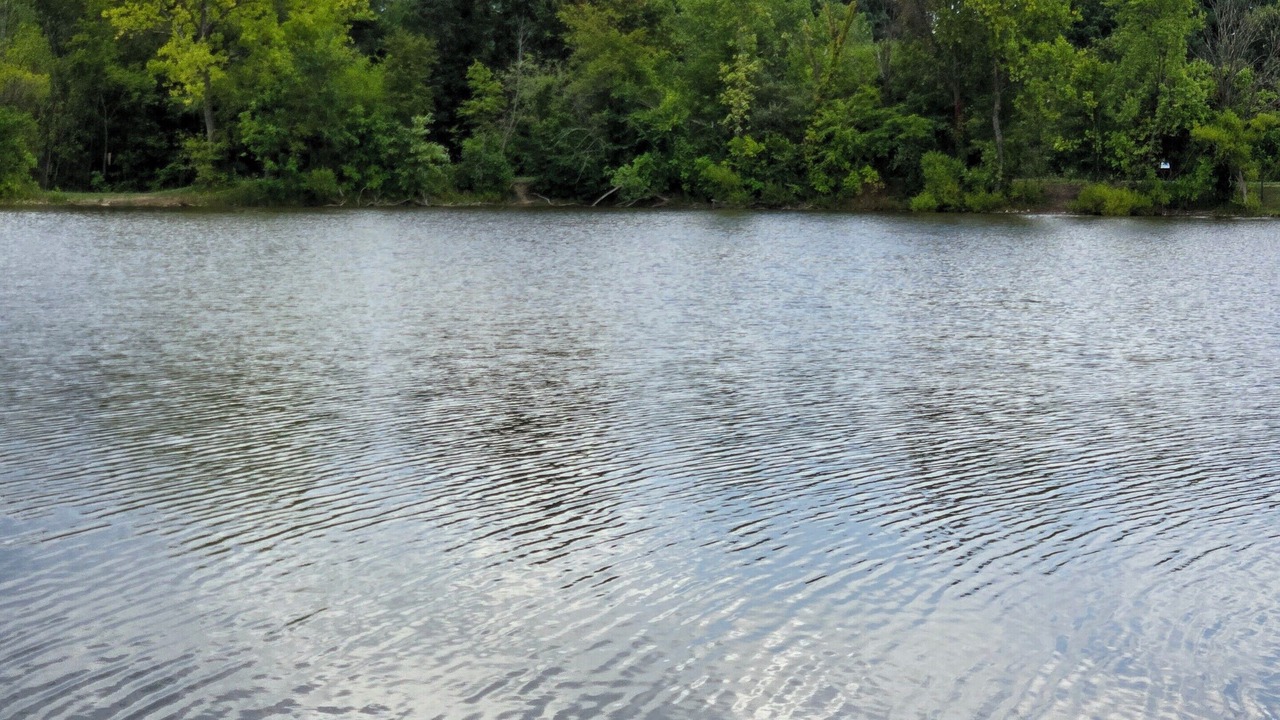 Photo of Others in Stephens City