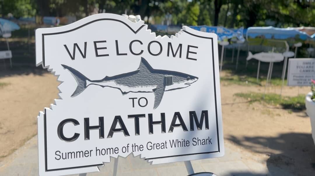 Photo of Others in South Chatham