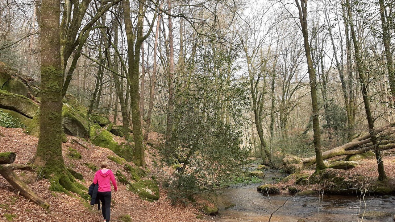 Photo of Others in La Chapelle-Neuve