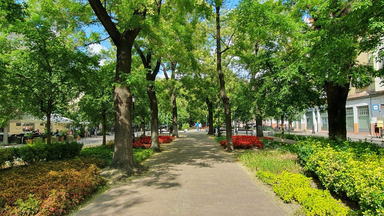 Photo of Others in Kecskemet