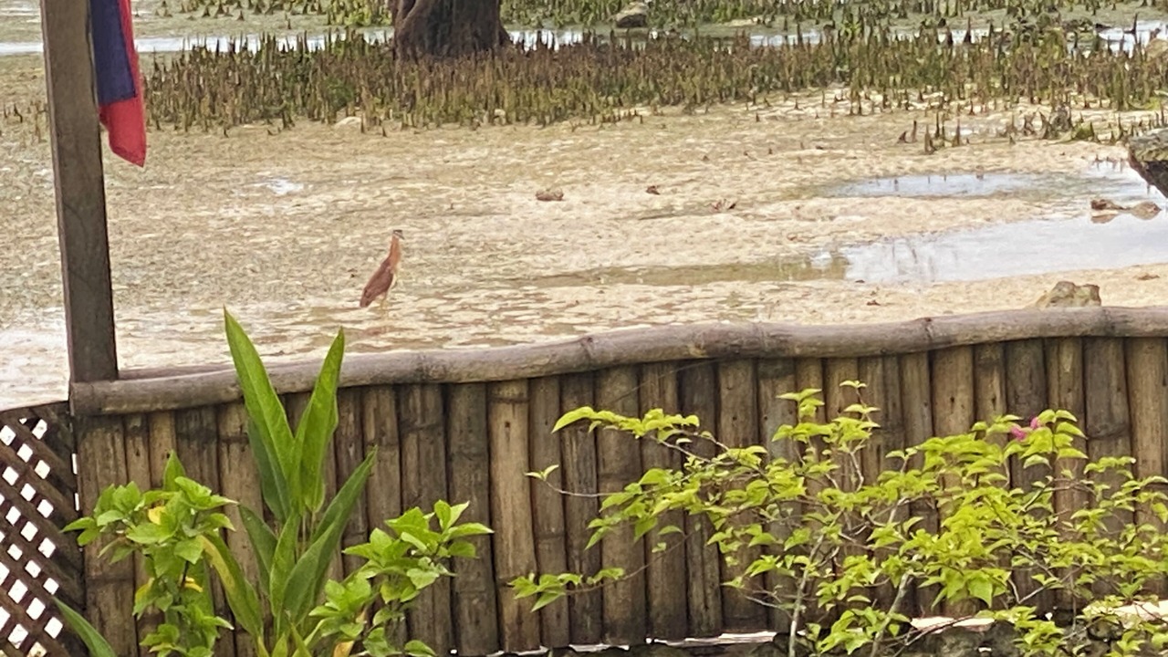 Photo of Outdoor in Catangnan