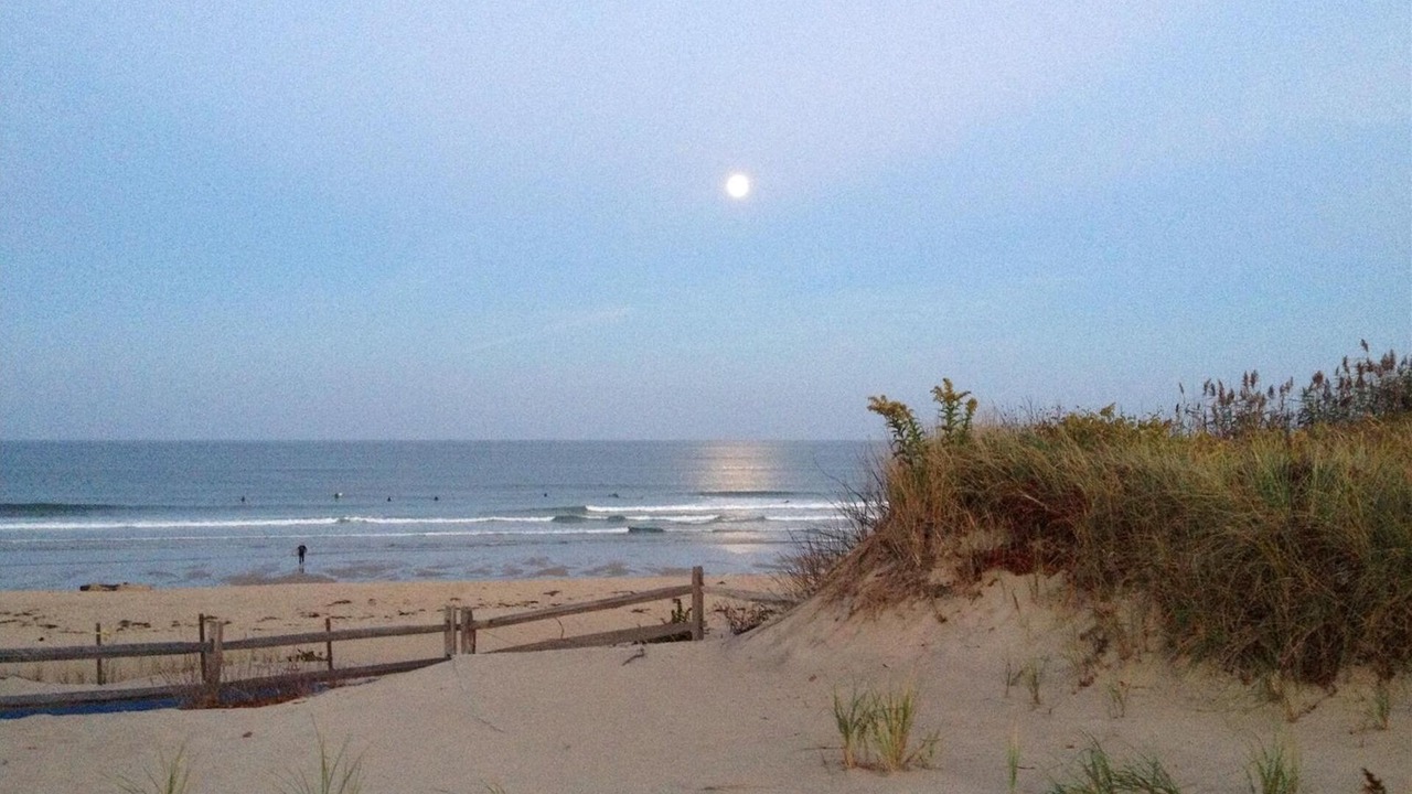 Photo of Others in Eastham