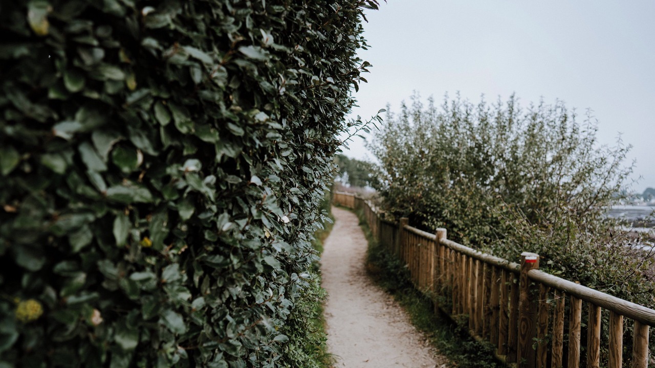 Photo of Outdoor in La Trinite-sur-Mer