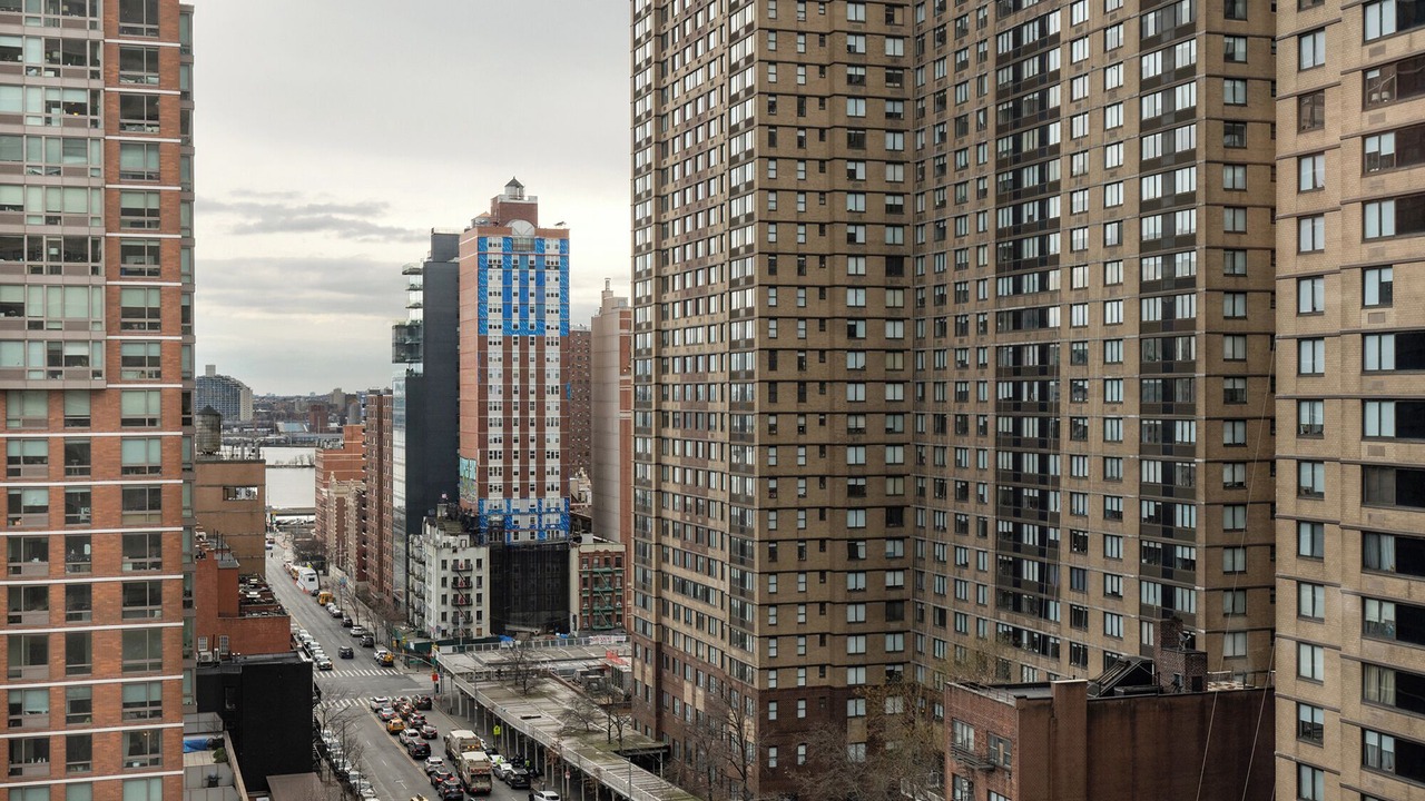 Photo of Others in East Harlem