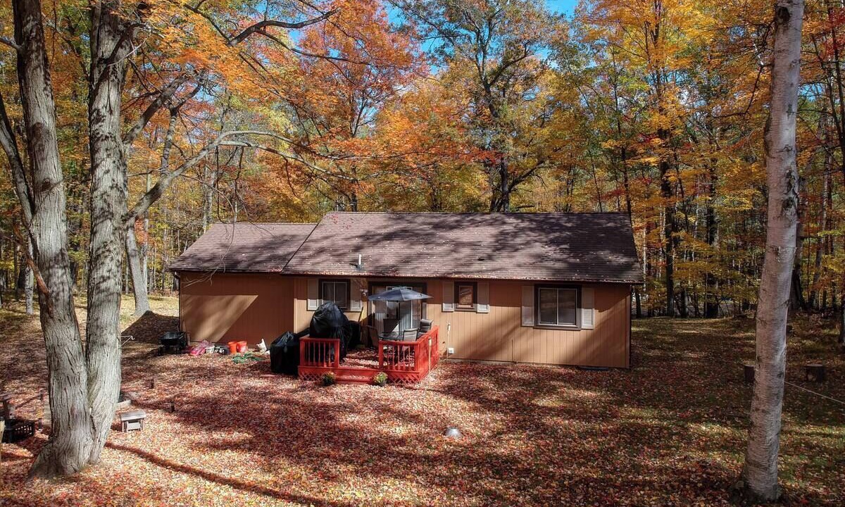 Photo of Outdoor in Farwell