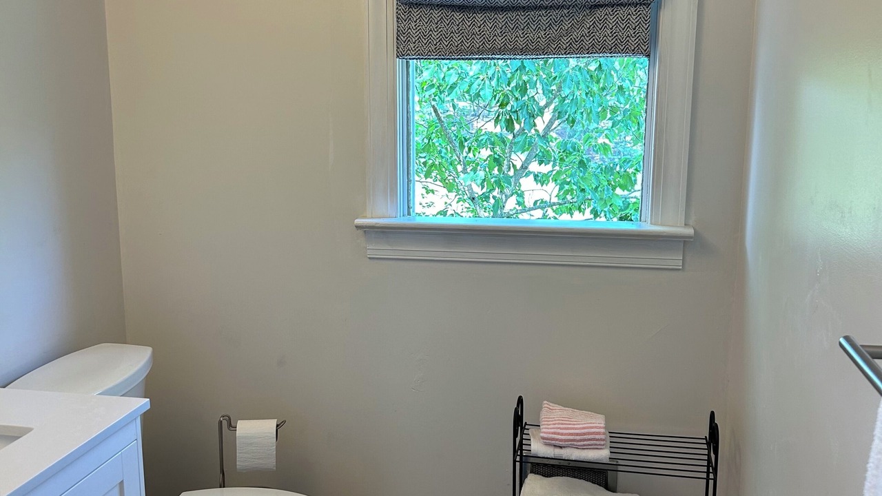 Photo of Bathroom in Christchurch