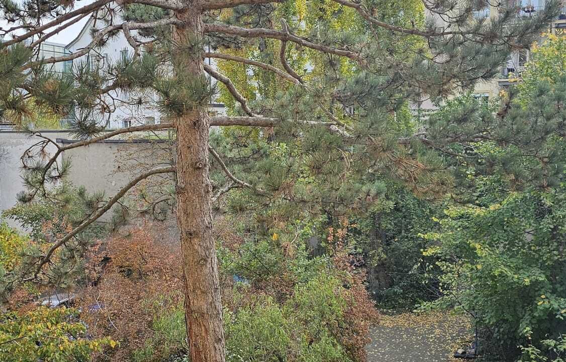 Photo of Outdoor in Basel City Centre