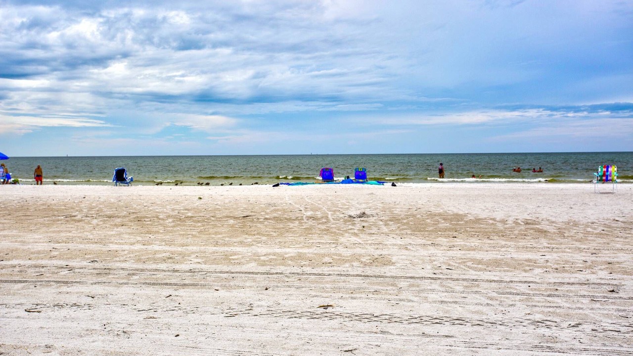 Photo of Others in Madeira Beach