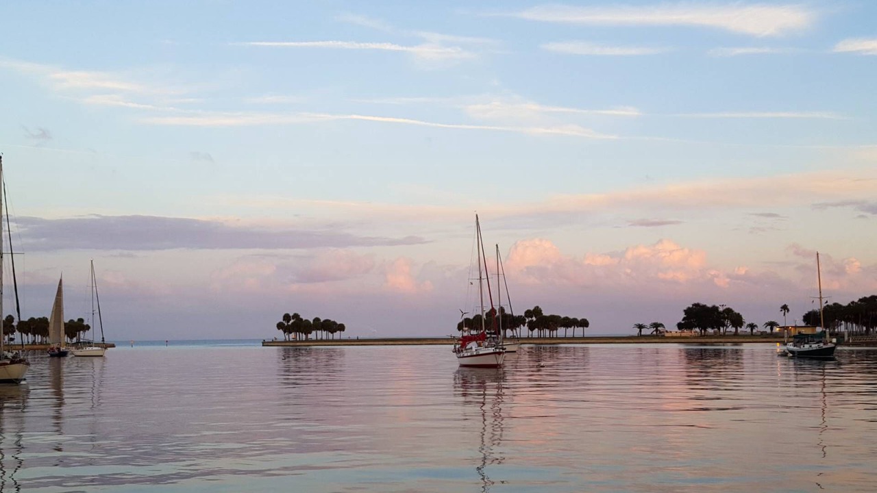 Photo of Others in Madeira Beach
