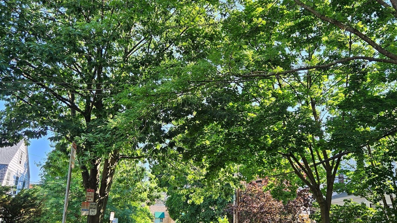 Photo of Others in Inman Square