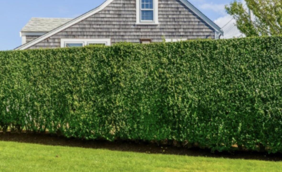 Photo of Outdoor in Brant Point