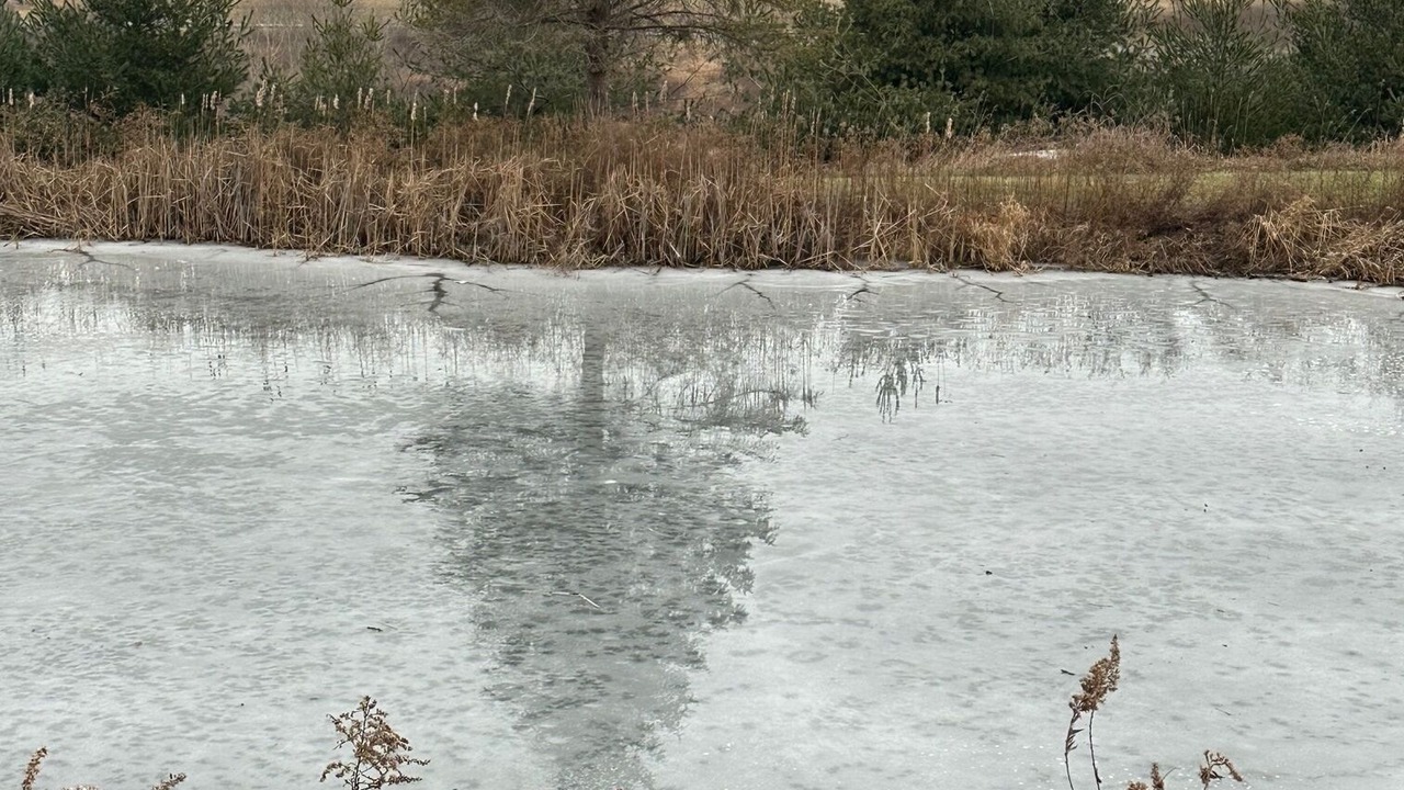 Photo of Others in Copake Falls