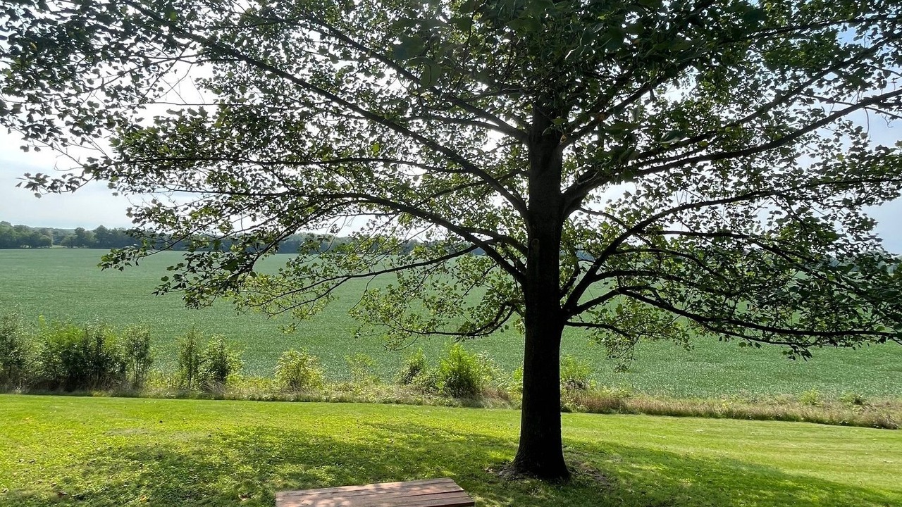 Photo of Outdoor in Noblesville