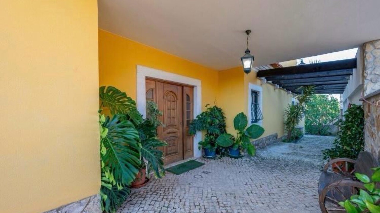 Photo of Outdoor in Vilar da Mo