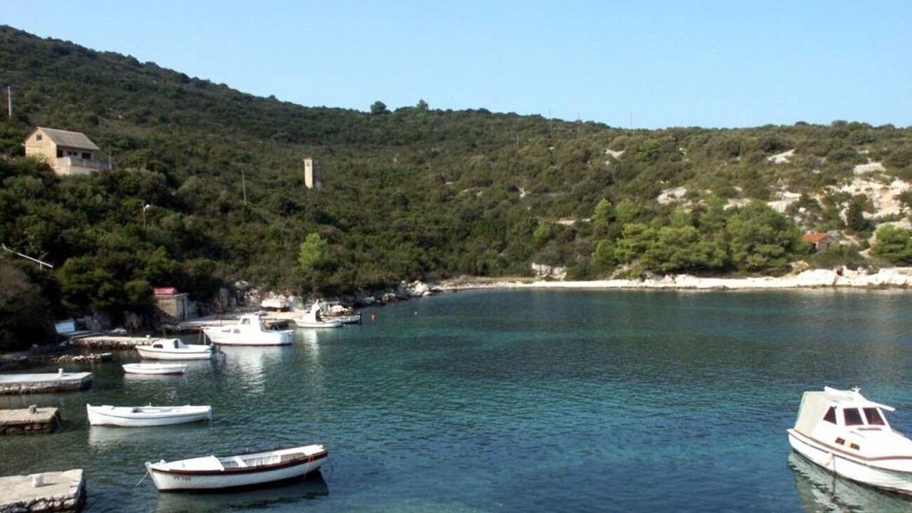 Photo of Others in Cove Rogacic