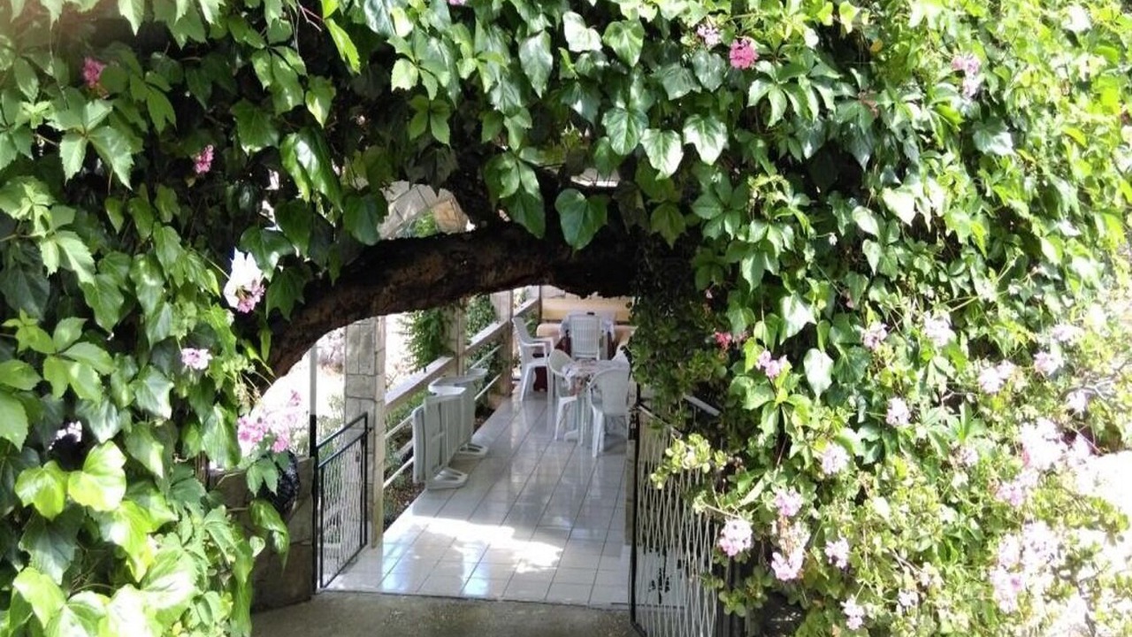 Photo of Patio Balcony in Cove Rogacic
