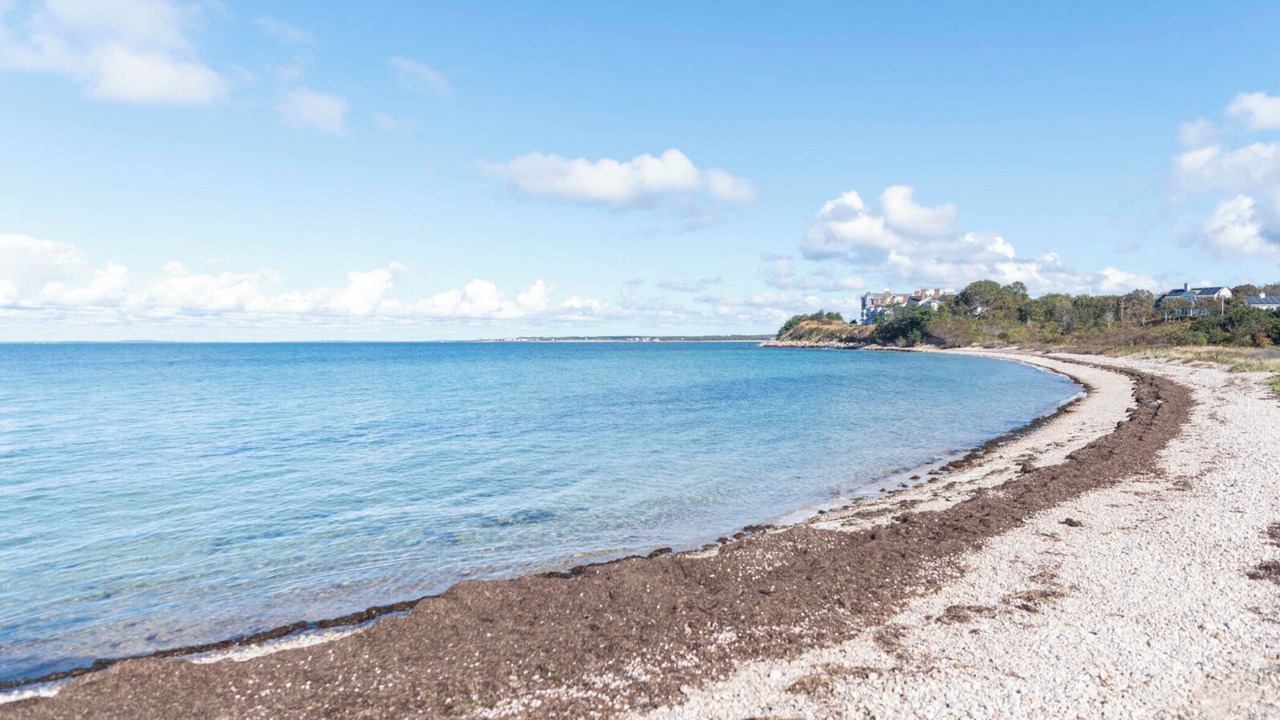 Photo of Others in Falmouth