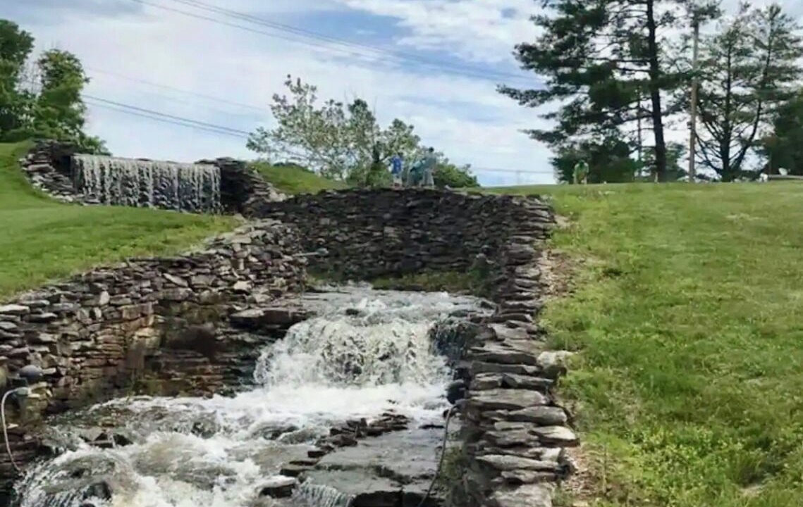 Photo of Others in Avoca