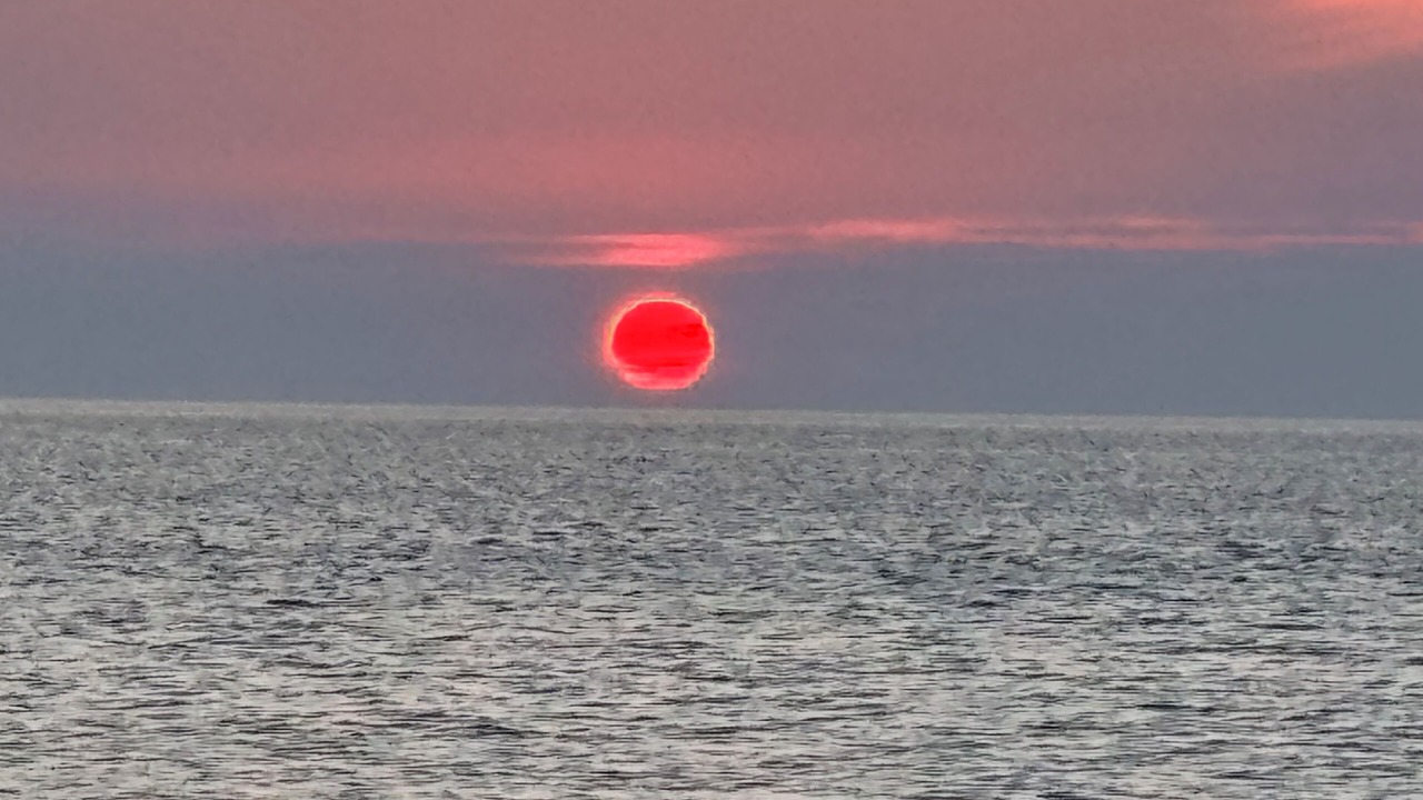 Photo of Others in Mattituck