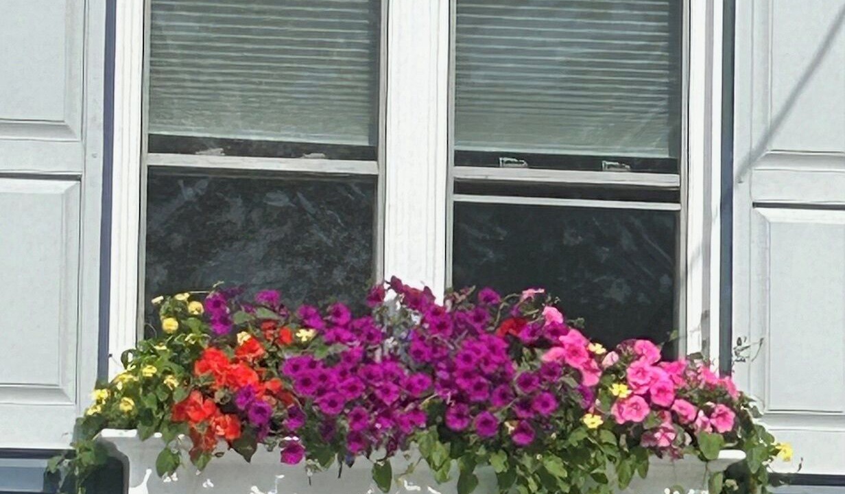 Photo of Outdoor in North East