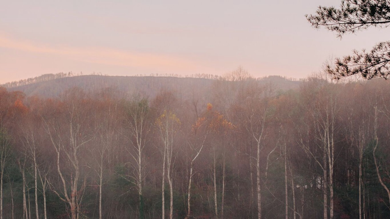 Photo of Outdoor in Vesta
