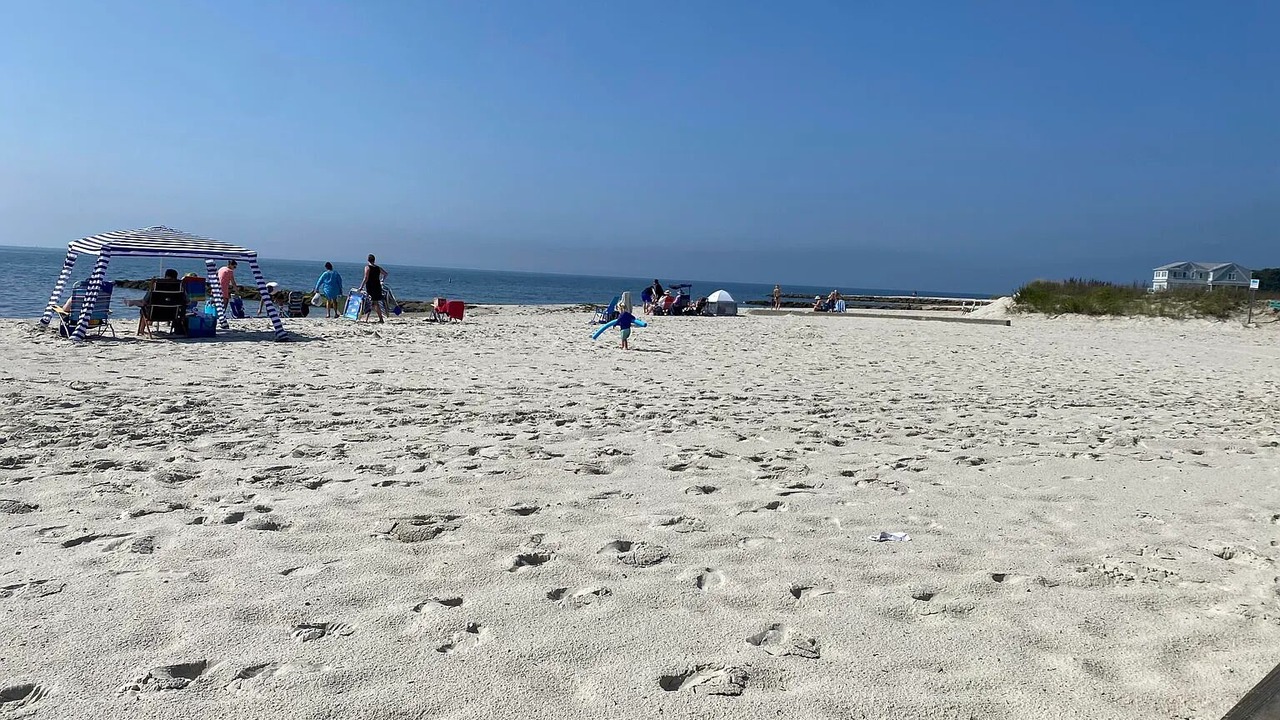 Photo of Others in South Harwich