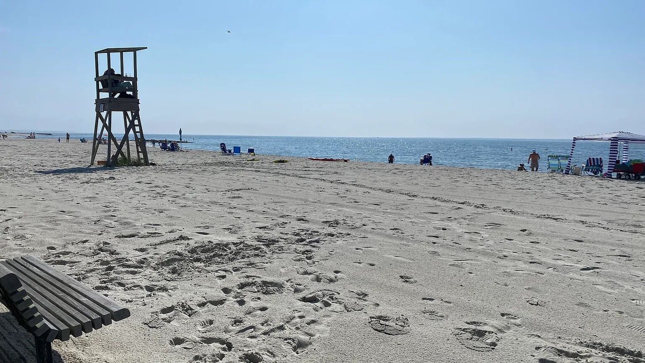 Photo of Others in South Harwich
