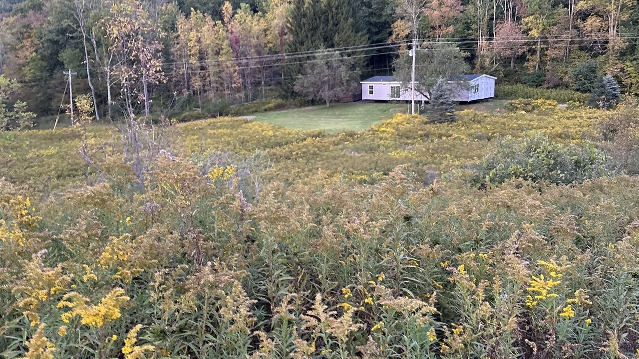 Photo of Others in Fly Creek