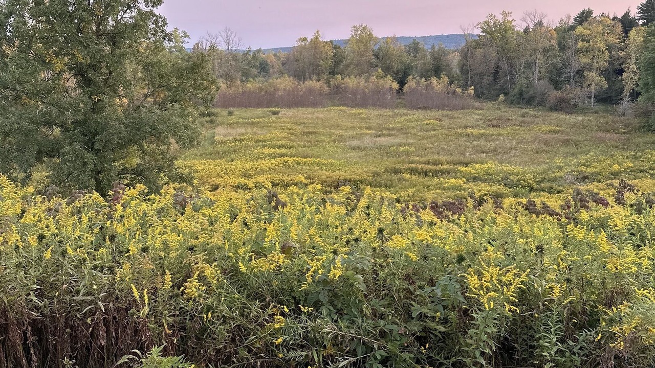 Photo of Others in Fly Creek