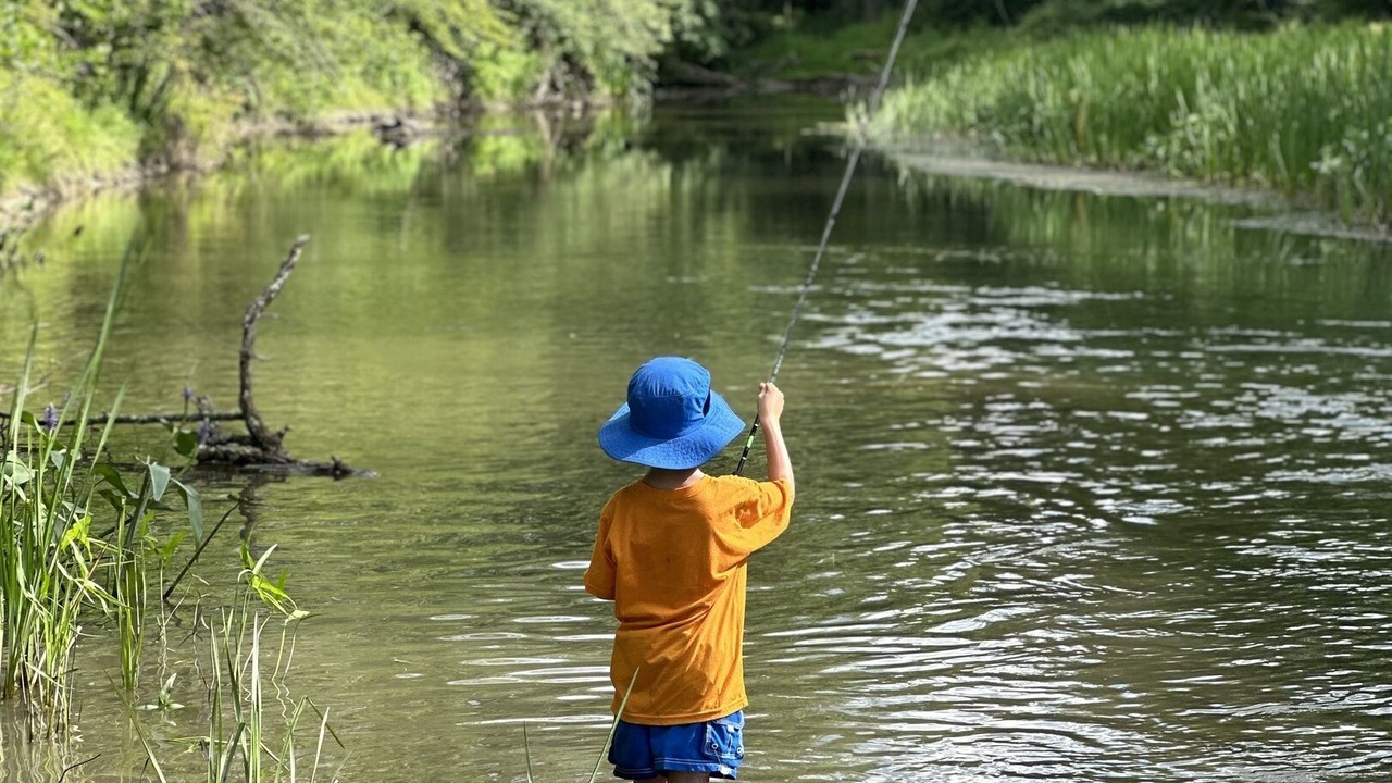 Photo of Others in Fly Creek