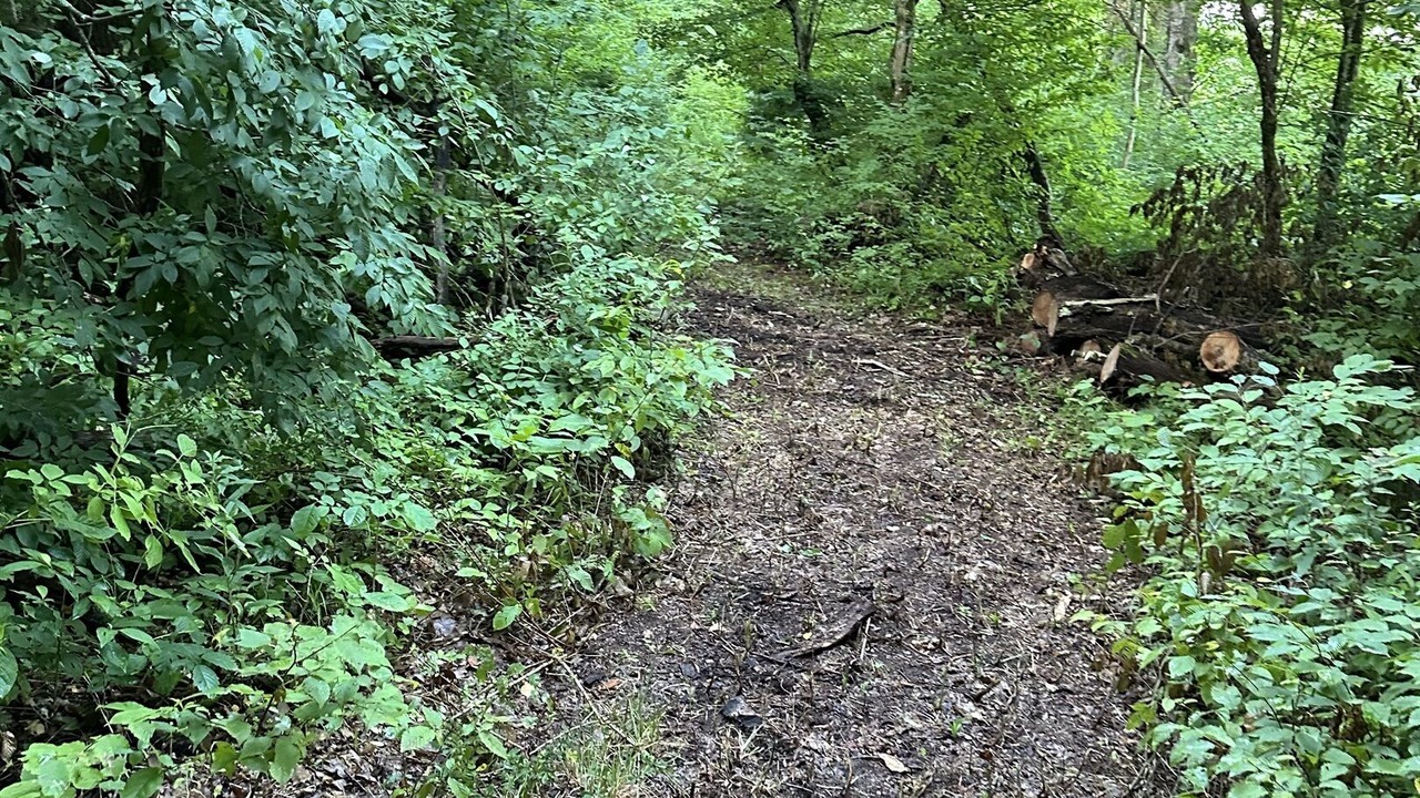 Photo of Others in Fly Creek